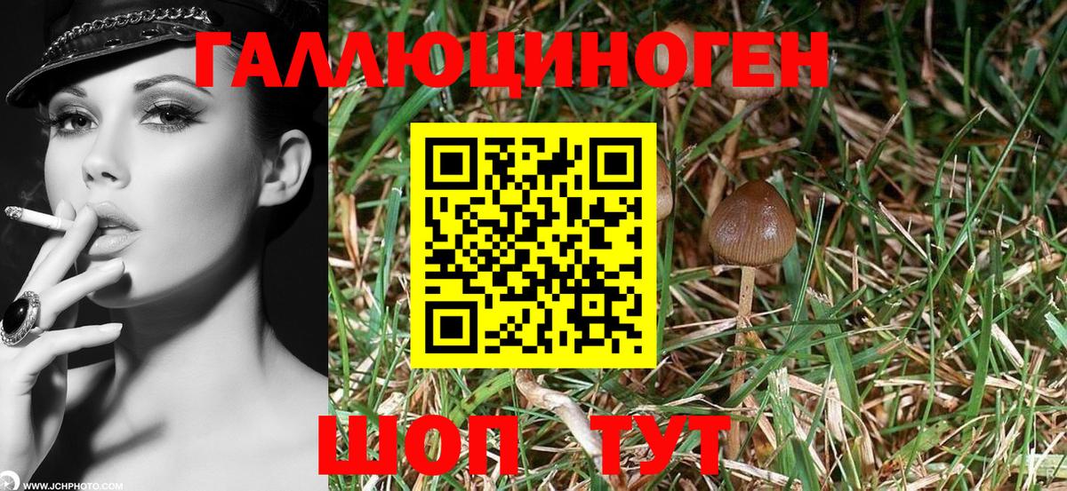Псилоцибиновые грибы мухоморы  закладки  Шахты  Вход с VPN 